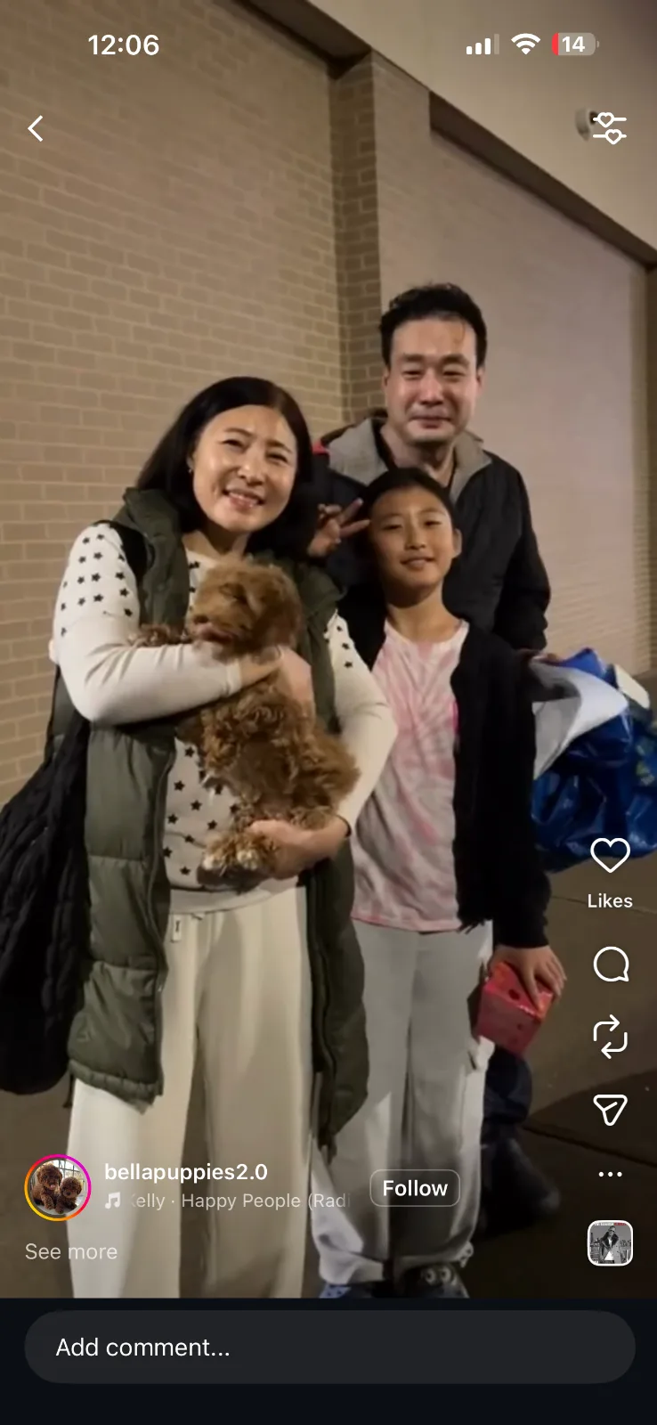 Bellapuppies in Bronx