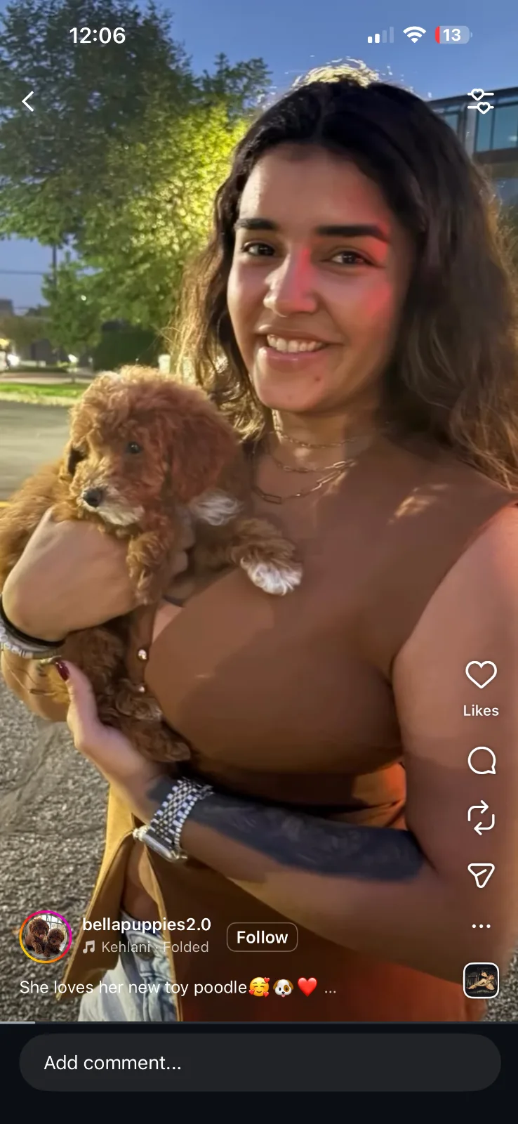 Puppy services in Tenafly, NJ