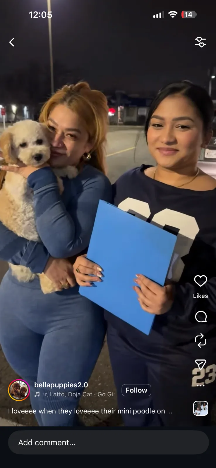 Puppy services in Bronx, NY