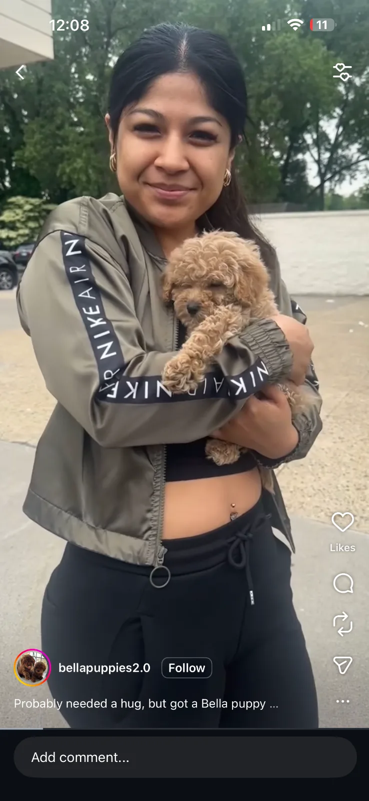 Puppy services in Englewood, NJ