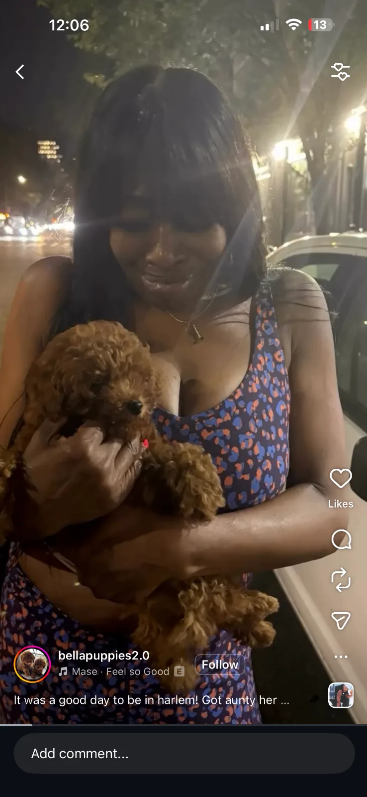 Bellapuppies in Hackensack