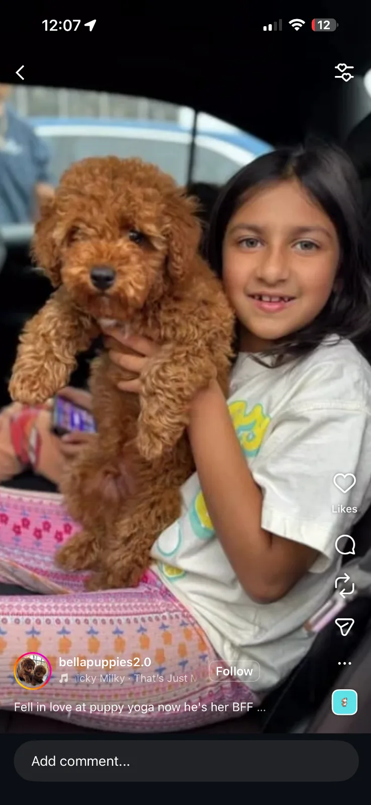 Puppies in Englewood, NJ