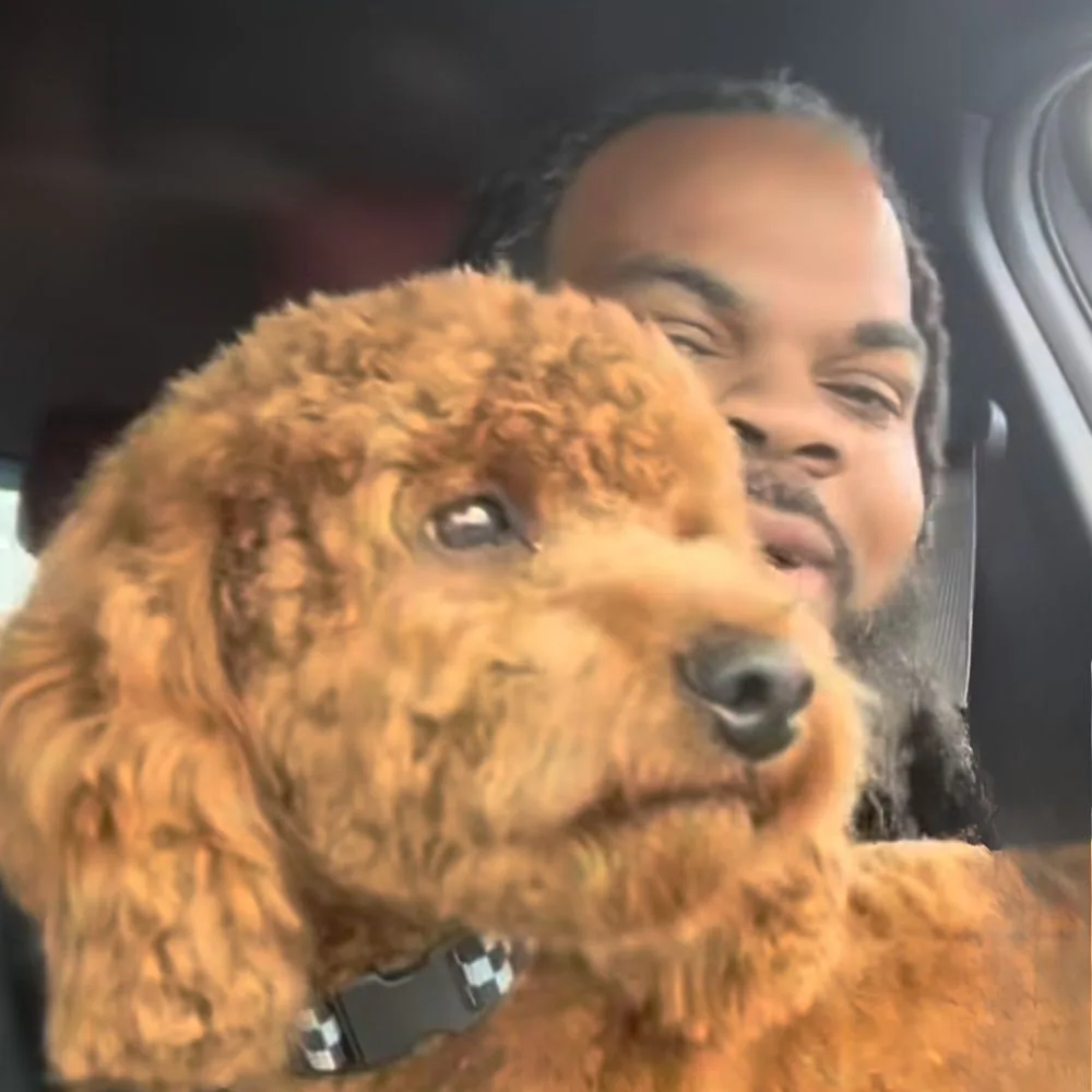 Bellapuppies in Bergen County