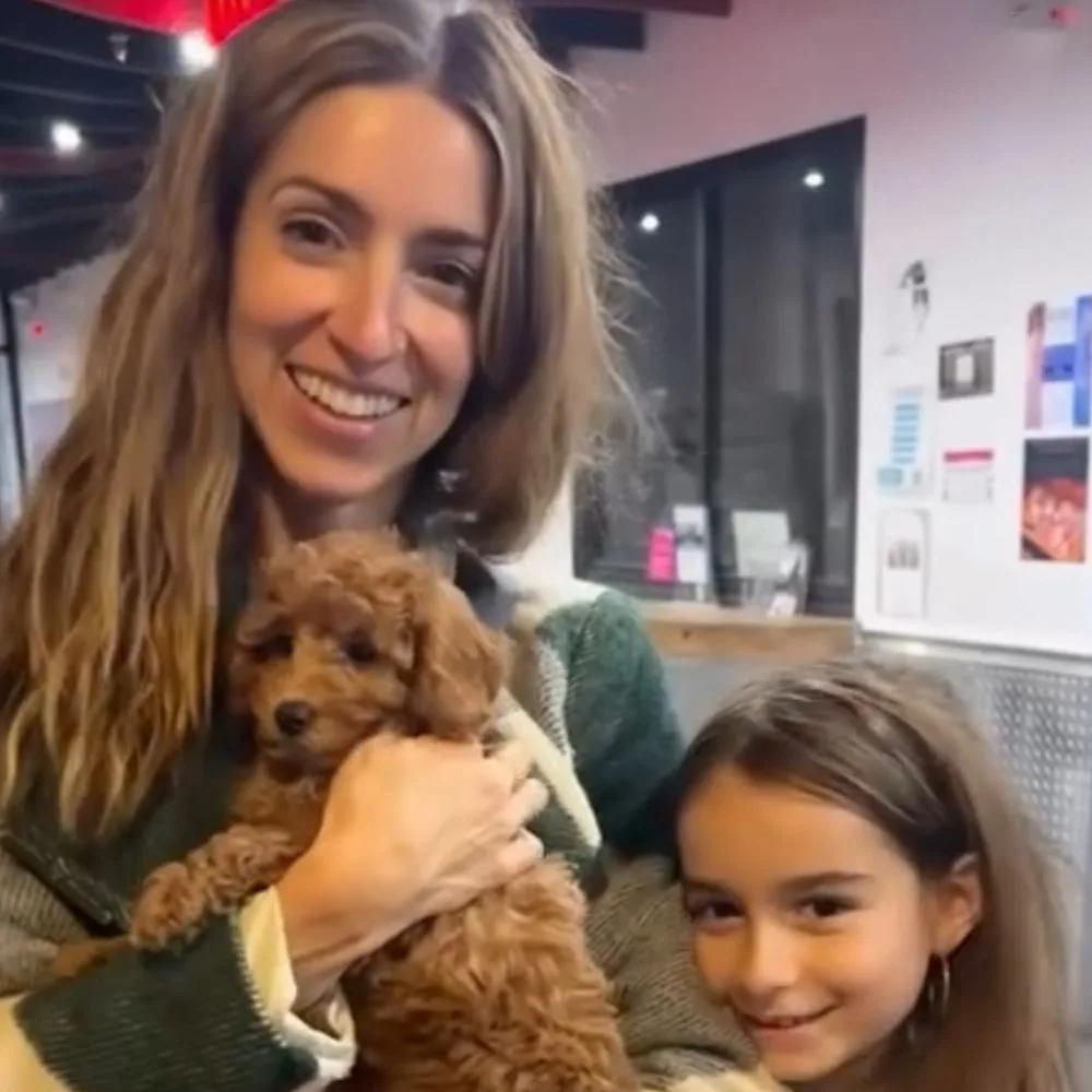 Puppy Therapy