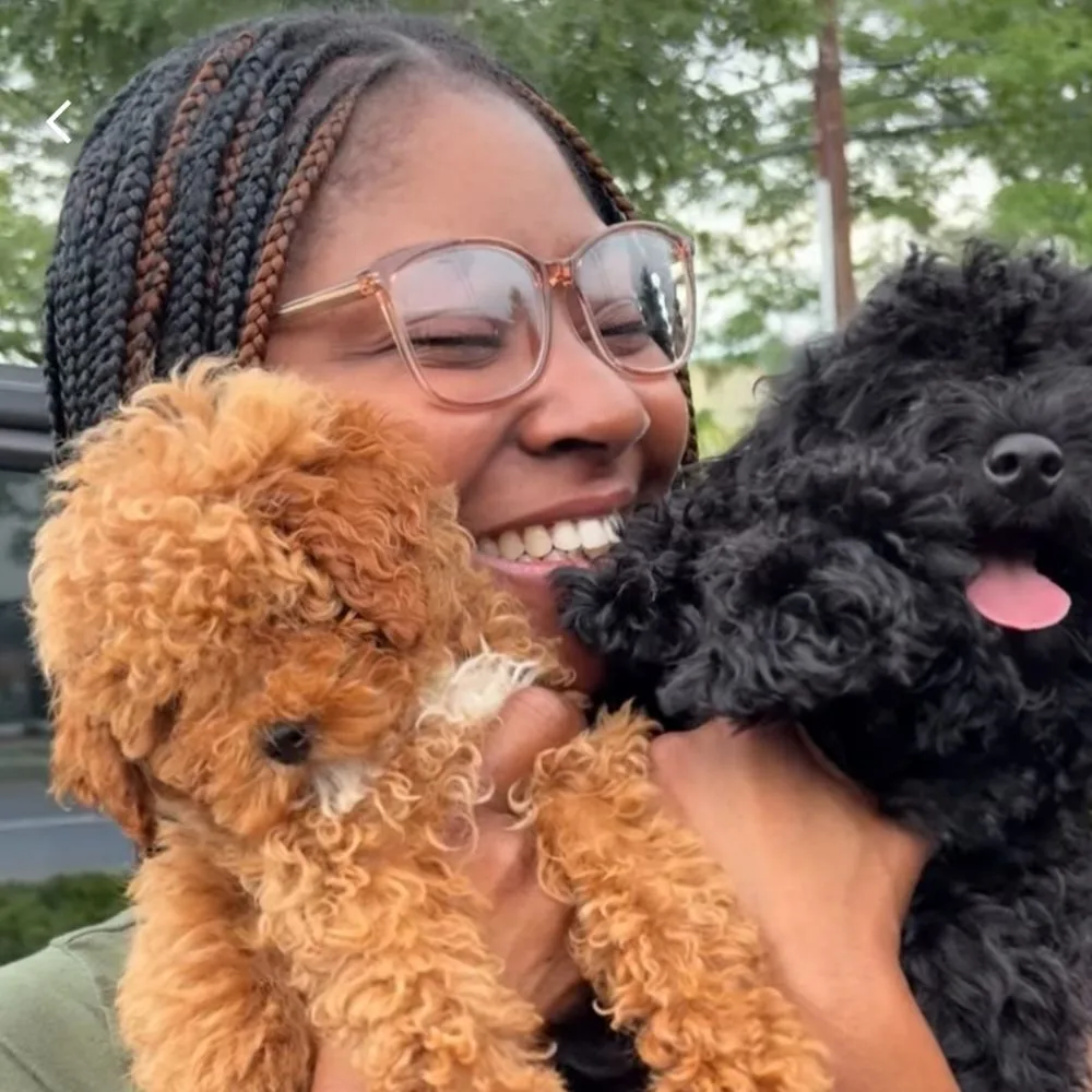 Adopt a Puppy