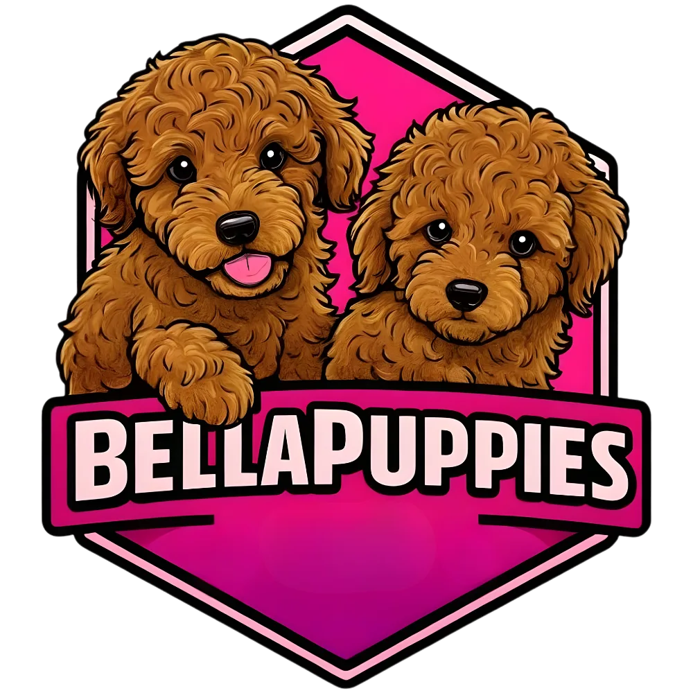Bellapuppies NYC